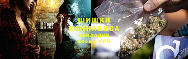 СК Инта