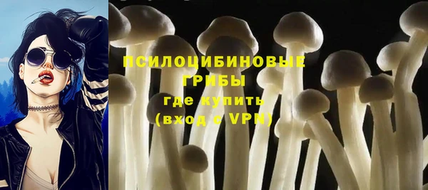 прущие крисы Абаза