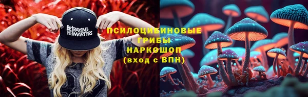 крисы Абинск