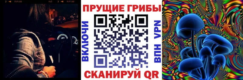 Псилоцибиновые грибы GOLDEN TEACHER  Нефтегорск 